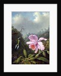 Still Life with Orchid and Pair of Hummingbirds, c.1890s by Martin Johnson Heade