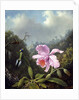 Still Life with Orchid and Pair of Hummingbirds, c.1890s by Martin Johnson Heade