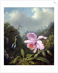 Still Life with Orchid and Pair of Hummingbirds, c.1890s by Martin Johnson Heade