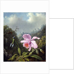 Still Life with Orchid and Pair of Hummingbirds, c.1890s by Martin Johnson Heade
