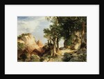 On the Berry Trail - Grand Canyon of Arizona, 1903 by Thomas Moran