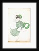 Costume design for 'Bacchanale', soloist ballerina by Leon Bakst