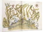 Coloured map of Venice and its region, c.1610 by Cristoforo Sabbadino