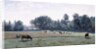 Marcoussis - Cows Grazing, 1845-50 by Jean Baptiste Camille Corot