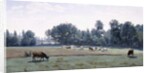 Marcoussis - Cows Grazing, 1845-50 by Jean Baptiste Camille Corot
