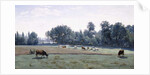 Marcoussis - Cows Grazing, 1845-50 by Jean Baptiste Camille Corot