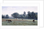 Marcoussis - Cows Grazing, 1845-50 by Jean Baptiste Camille Corot
