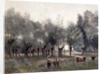 Women in a Field of Willows, 1860-65 by Jean Baptiste Camille Corot