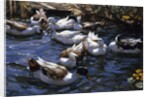 Ducks in the Reeds under the Boughs by Alexander Koester