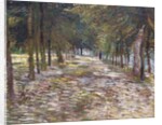 The Avenue at the Park of Voyer-d'Argenson at Asnieres, 1887 by Vincent van Gogh