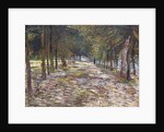 The Avenue at the Park of Voyer-d'Argenson at Asnieres, 1887 by Vincent van Gogh