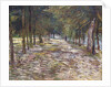 The Avenue at the Park of Voyer-d'Argenson at Asnieres, 1887 by Vincent van Gogh