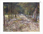 The Avenue at the Park of Voyer-d'Argenson at Asnieres, 1887 by Vincent van Gogh
