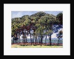 Pines, Cap d'Antibes, 1888 by Claude Monet