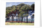 Pines, Cap d'Antibes, 1888 by Claude Monet