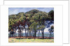 Pines, Cap d'Antibes, 1888 by Claude Monet