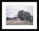 Walnut Trees, Effect of the Setting Sun - First Day of October, 1882 by Alfred Sisley