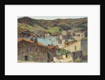 The Village of Collioure with a View of the Port by Henri Jean Guillaume Martin