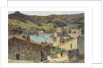 The Village of Collioure with a View of the Port by Henri Jean Guillaume Martin
