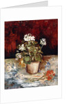 Still-life Pot of Geraniums, 1886 by Vincent van Gogh