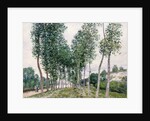 Alley of Poplars along the Loing, 1892 by Alfred Sisley