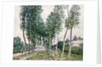 Alley of Poplars along the Loing, 1892 by Alfred Sisley