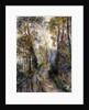 The Forest Path, 1871 by Pierre Auguste Renoir