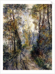 The Forest Path, 1871 by Pierre Auguste Renoir