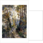 The Forest Path, 1871 by Pierre Auguste Renoir