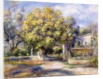 Houses in Cagnes, c.1905 by Pierre Auguste Renoir