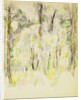 Woodland Scene, c.1900-1904 by Paul Cezanne