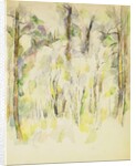Woodland Scene, c.1900-1904 by Paul Cezanne