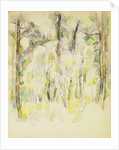 Woodland Scene, c.1900-1904 by Paul Cezanne