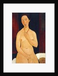Sitting Nude with Necklace, 1917 by Amedeo Modigliani
