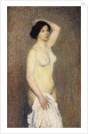 Nude Woman Standing by Henri Jean Guillaume Martin