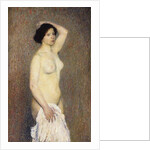 Nude Woman Standing by Henri Jean Guillaume Martin