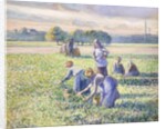 The Harvest of Peas, 1887 by Camille Pissarro