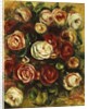 Vase of Roses, by Pierre Auguste Renoir