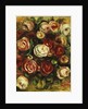 Vase of Roses, by Pierre Auguste Renoir