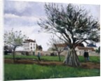Apple Trees in Pontoise, 1868 by Camille Pissarro