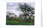 Apple Trees in Pontoise, 1868 by Camille Pissarro