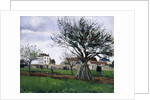 Apple Trees in Pontoise, 1868 by Camille Pissarro