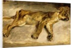 A Sleeping Lioness, c.1830 by Ferdinand Victor Eugene Delacroix