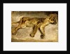 A Sleeping Lioness, c.1830 by Ferdinand Victor Eugene Delacroix
