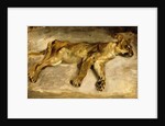 A Sleeping Lioness, c.1830 by Ferdinand Victor Eugene Delacroix
