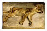 A Sleeping Lioness, c.1830 by Ferdinand Victor Eugene Delacroix