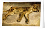 A Sleeping Lioness, c.1830 by Ferdinand Victor Eugene Delacroix
