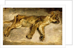 A Sleeping Lioness, c.1830 by Ferdinand Victor Eugene Delacroix