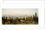 A View of Constantinople by Edmund Berninger