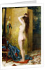 A Standing Nude by Frans Verhas